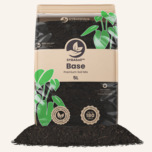 Substrato para Básico