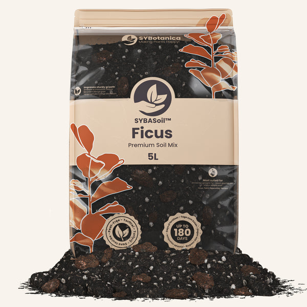 best potting mix for ficus Buy Ficus Soil Mix? Ordered before 16:30, shipped today – Sybotanica