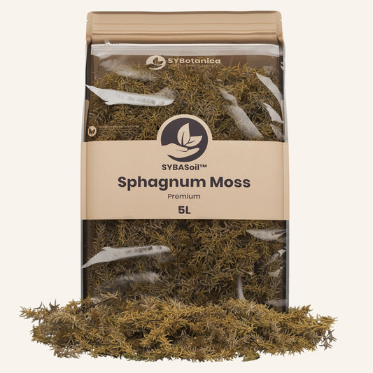 Sphagnum Moss
