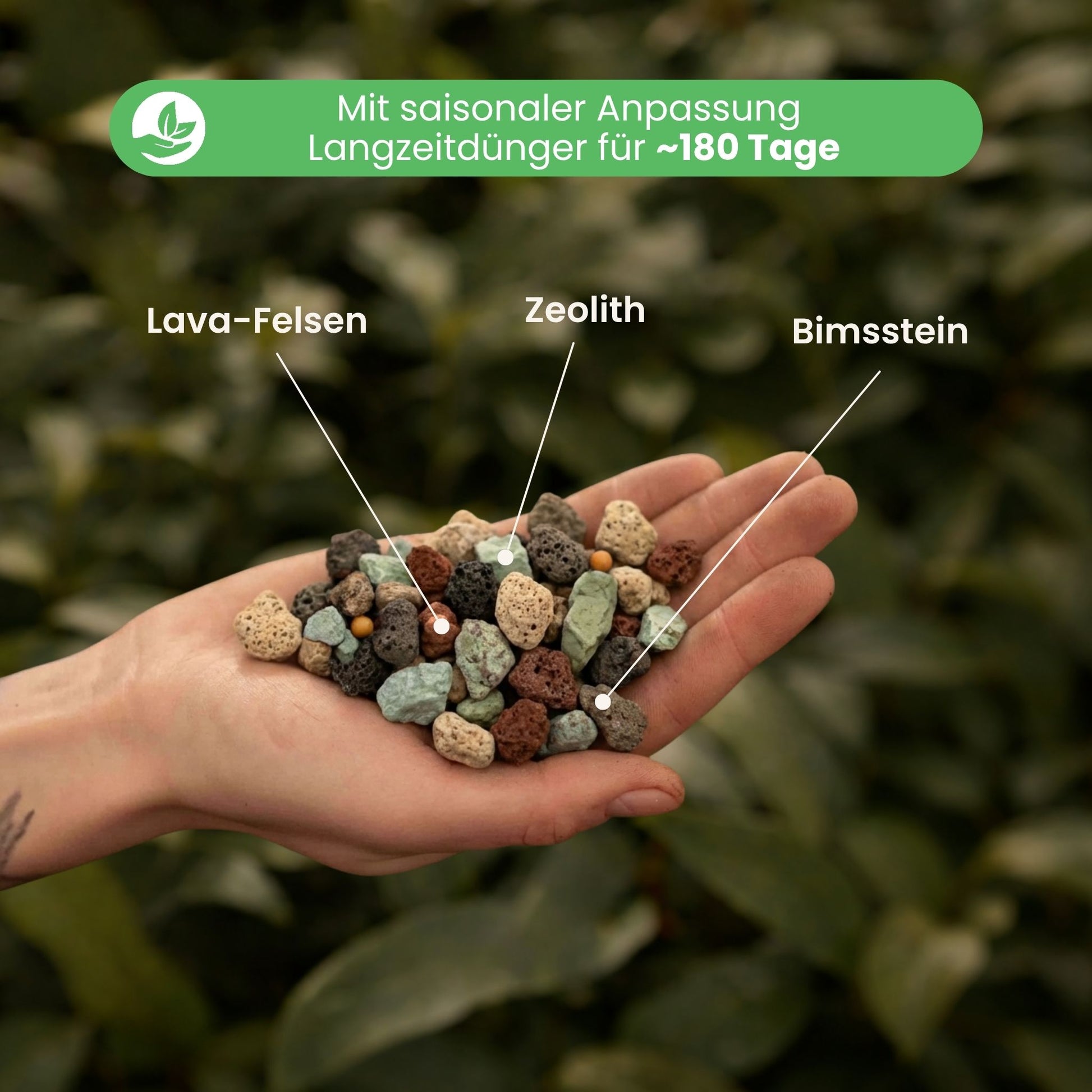 Chunky Zimmerpflanzen Mineral-Mix Kaufen? ✓ 16:30 Uhr bestellt, morgen  geliefert – Sybotanica