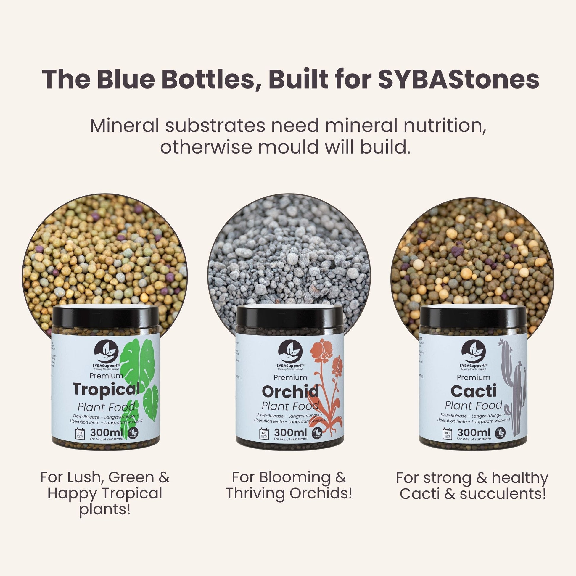 succulent substrate Buy Cacti & Succulent Mineral Mix ? ✓ Quick Delivery! – Sybotanica