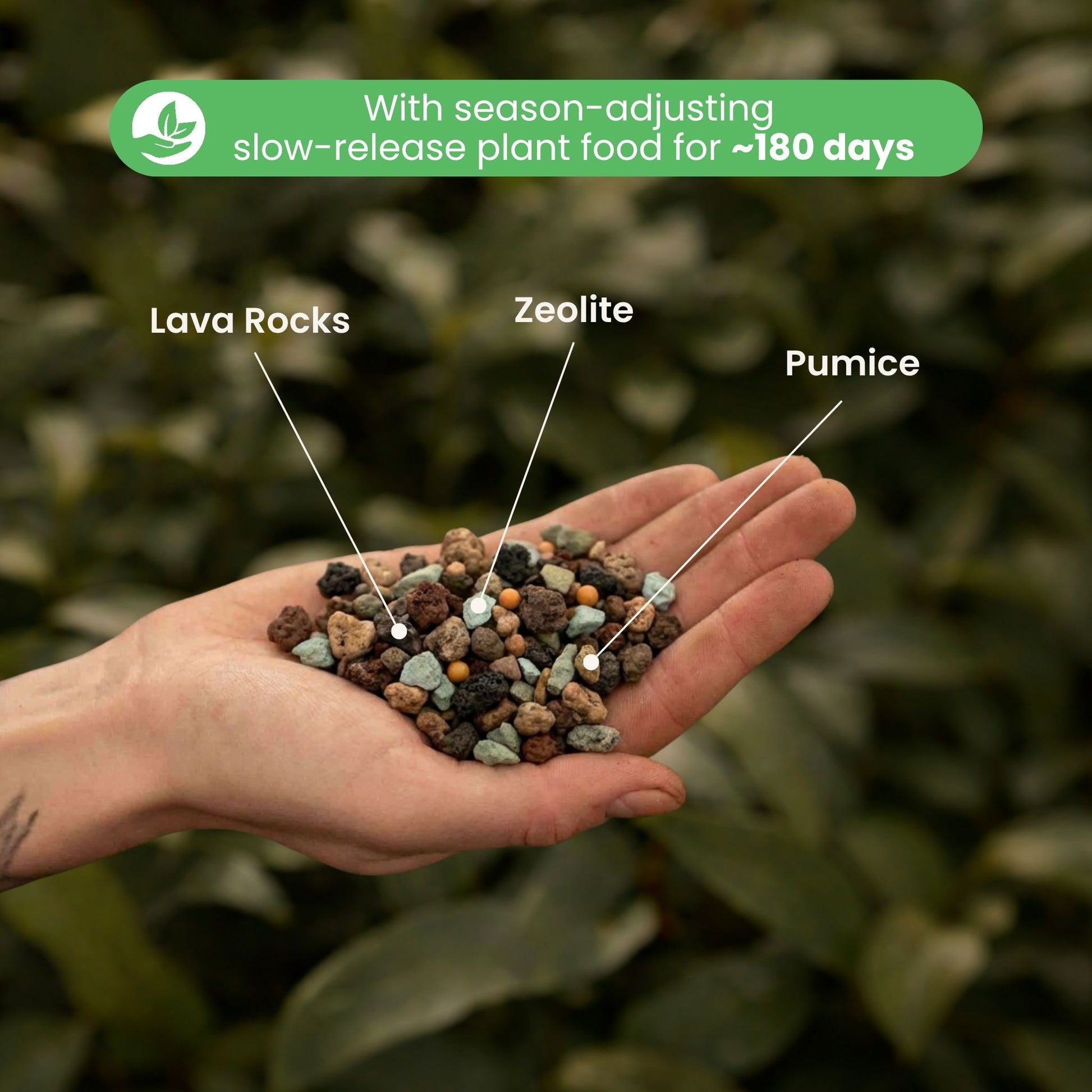 dieffenbachia soil mix recipe Buy Fine Houseplant Mineral Mix ? ✓ Quick Delivery! – Sybotanica