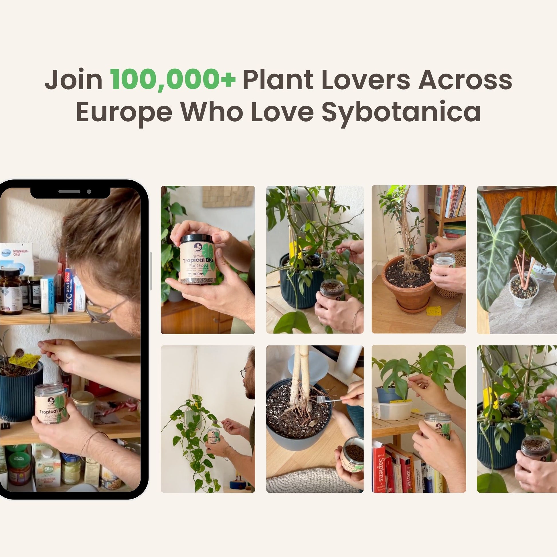 slow release indoor plant food Buy SYBASupport Tropical Slow-Release Plant Food? ✓ Quick Shipping! – Sybotanica