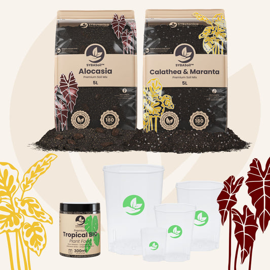 Tropical Jungle Welcome Bundle