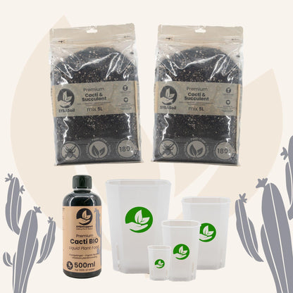 Happy Cacti & Succulent Starter Bundle