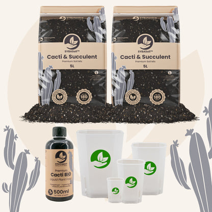 Pacchetto benvenuto per cactus e piante grasse