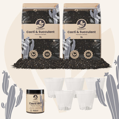 Cactus & Vetplant Welkomstbundel