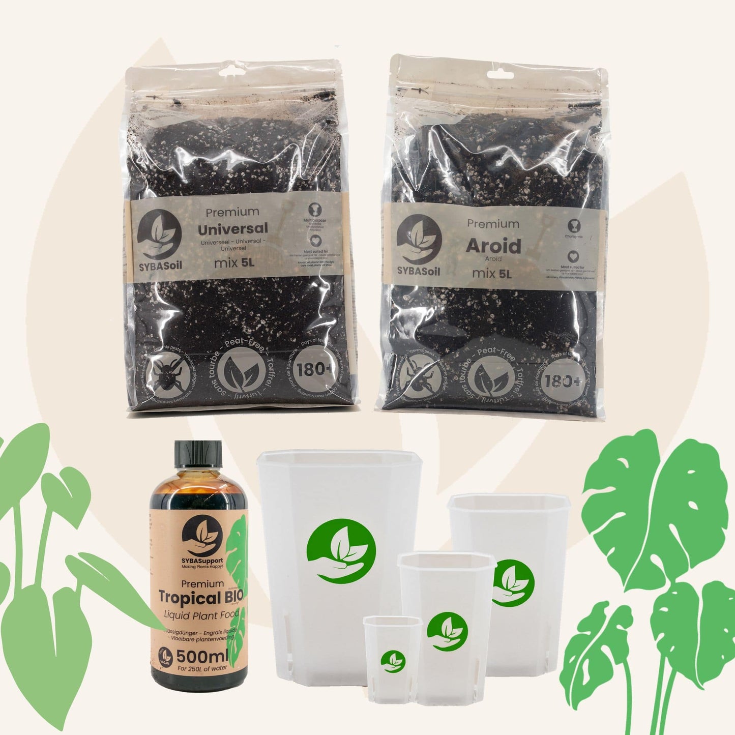Happy Monstera & Philodendron Starter Bundle
