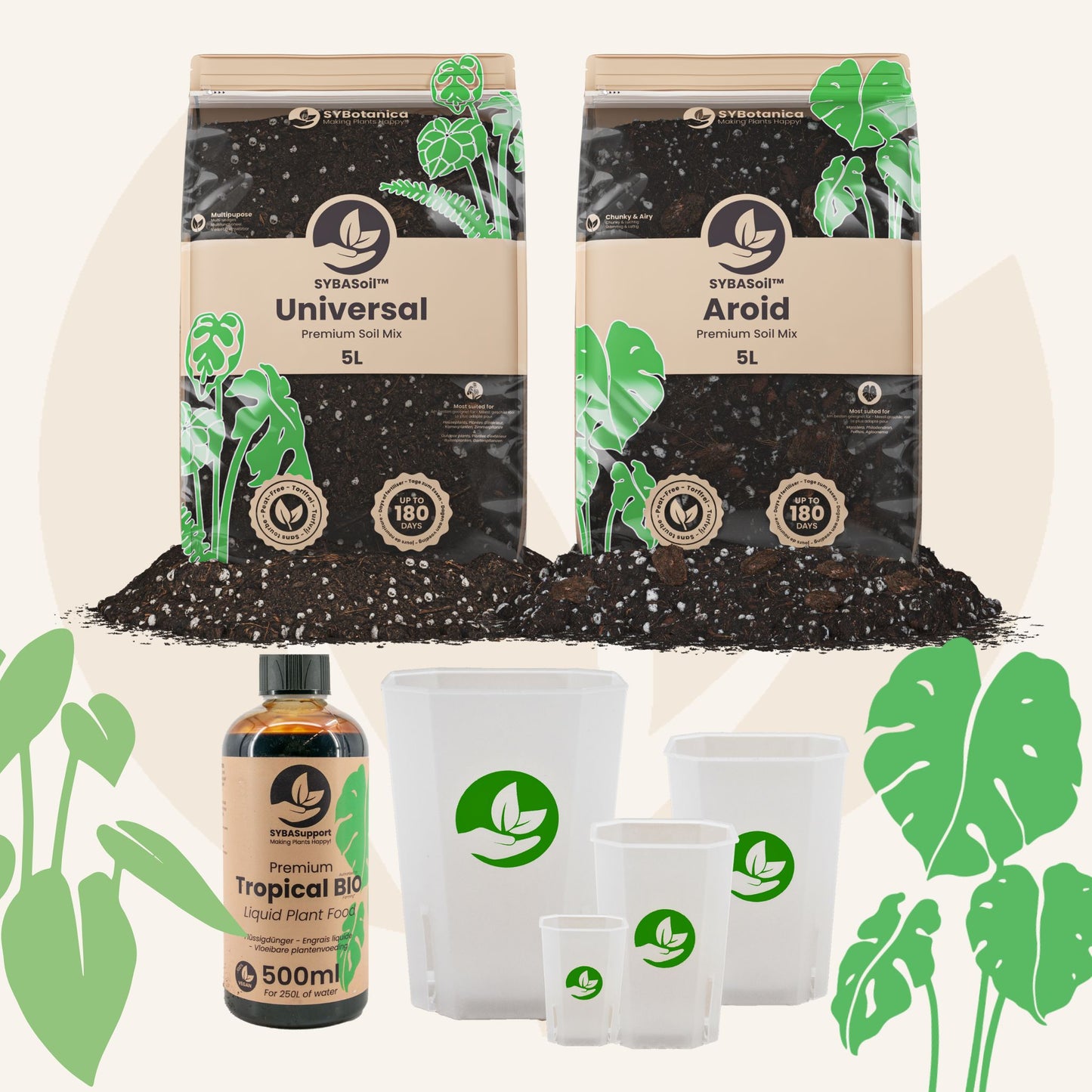 Pacchetto benvenuto Monstera & Philodendron