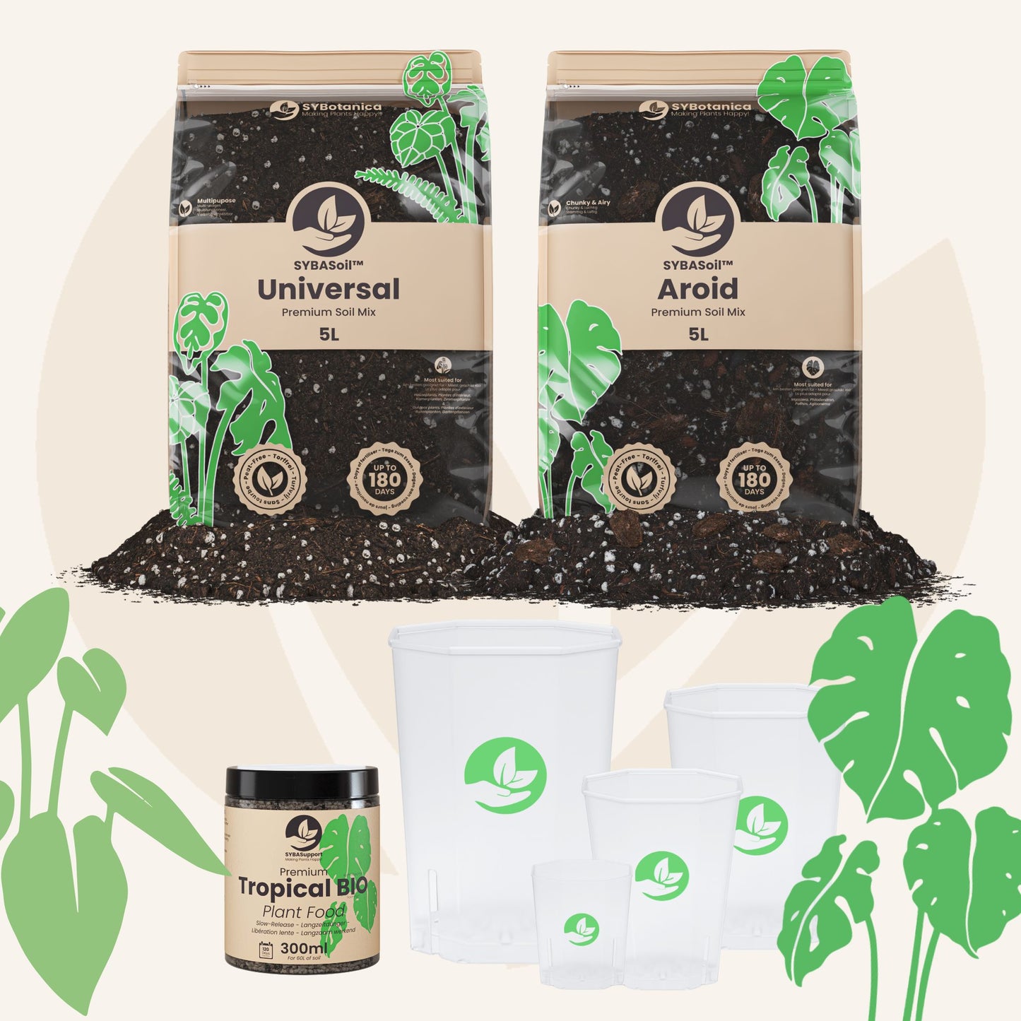 monstera/jungle plant/philodendron mix Monstera & Philodendron Welcome Bundle – Sybotanica