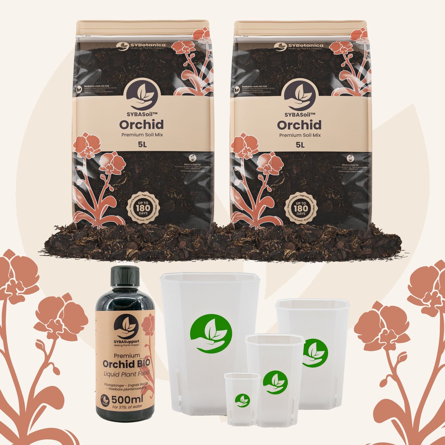 Pacchetto benvenuto Orchidea