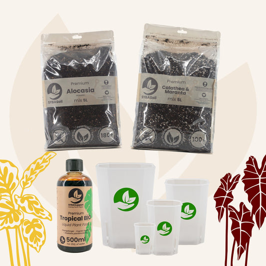 Tropical Jungle Welcome Bundle