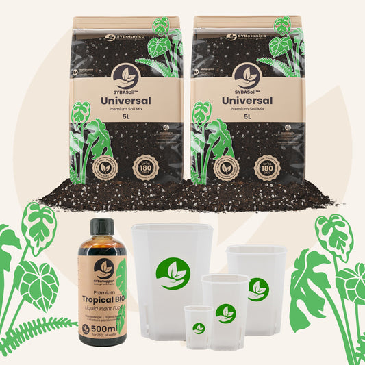 Pacchetto benvenuto universale