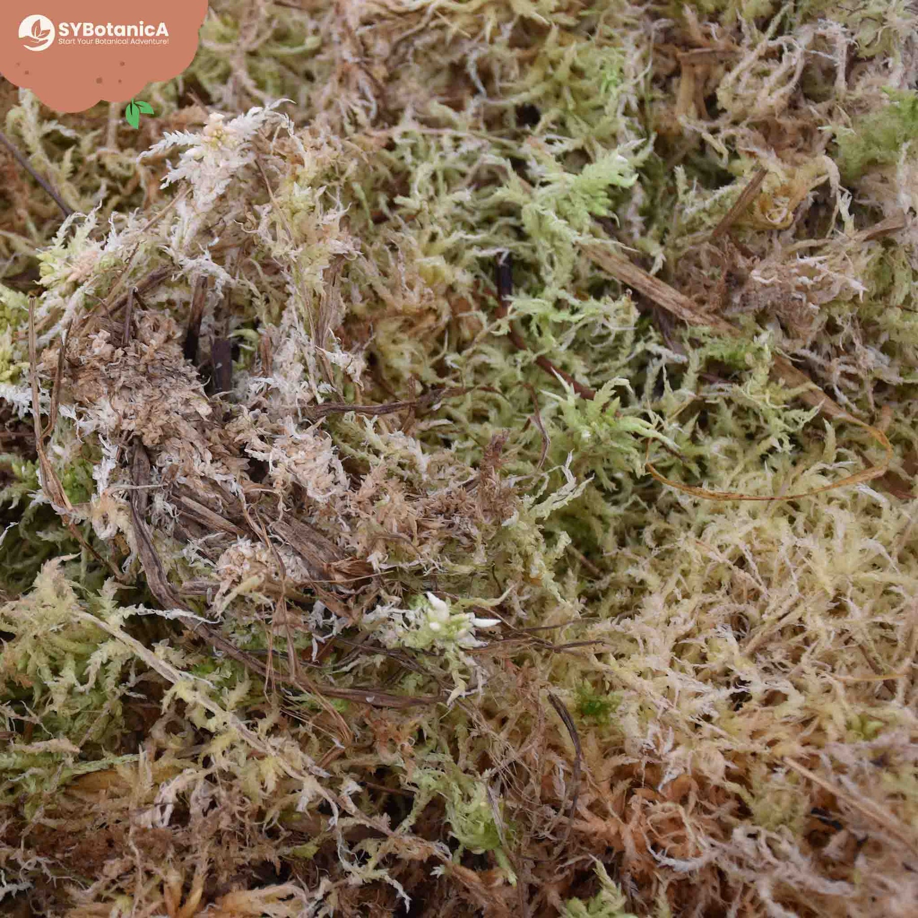 Sphagnum Moss Bulk Refill Kit