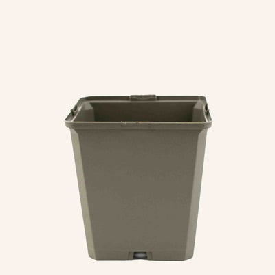 Grey Square Pots