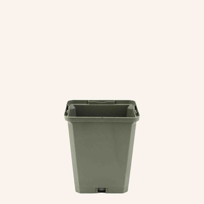 Grey Square Pots