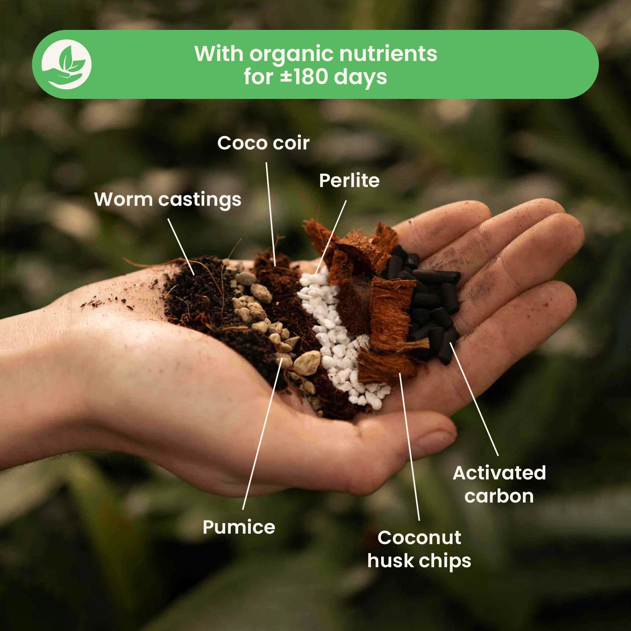 Syngonium Soil Mix 515L SYBASoil Arrowhead vine soil 6 Months of nutrients Peatfree