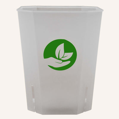 Square Aroid/Orchid pots