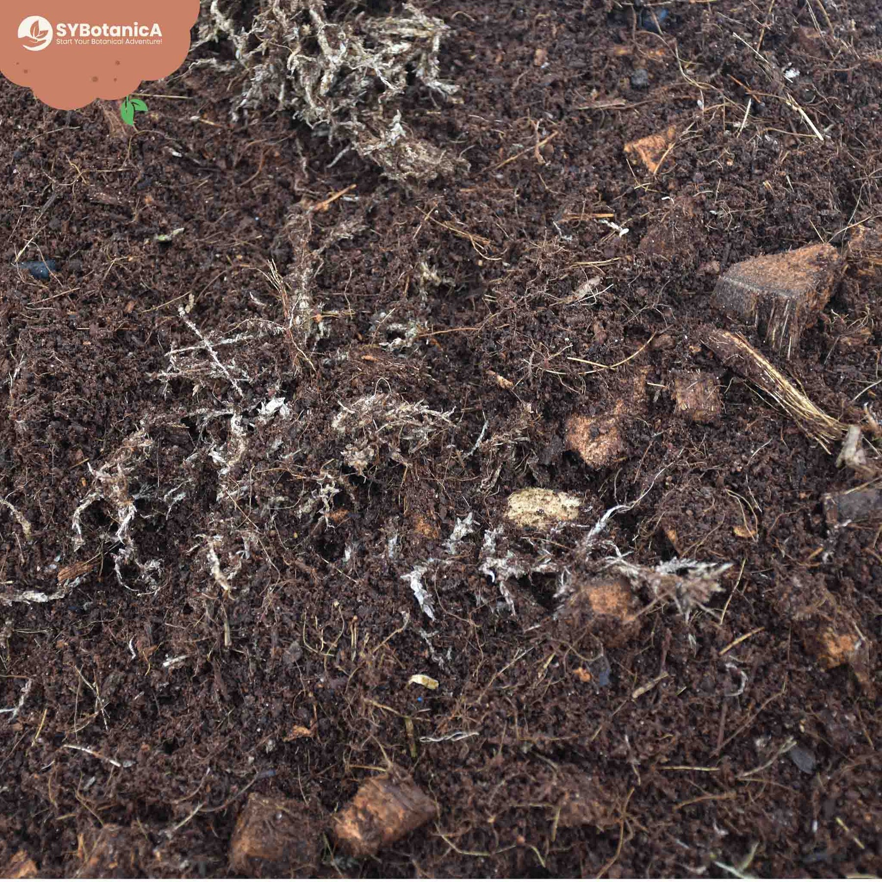 Terrarium Substrate Mix 515L SYBASoil ABG Mix Soil Mix Anti