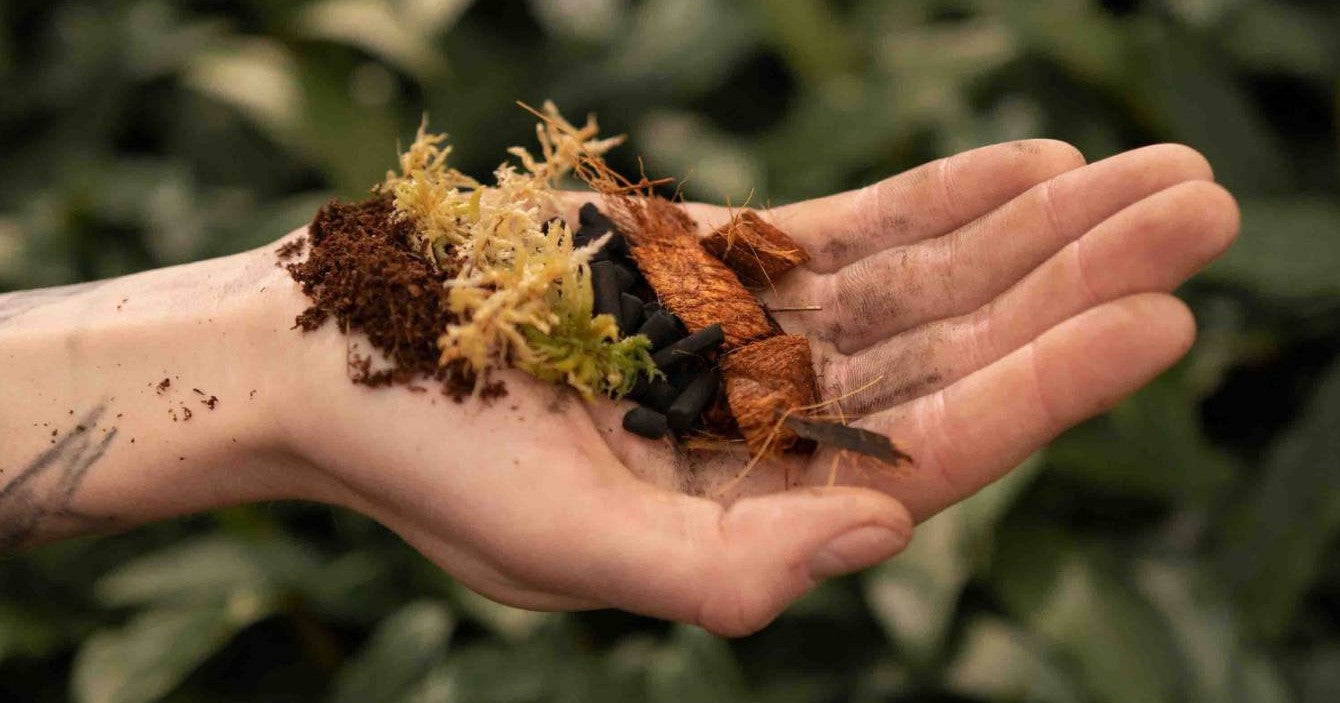 Terrarium mix 