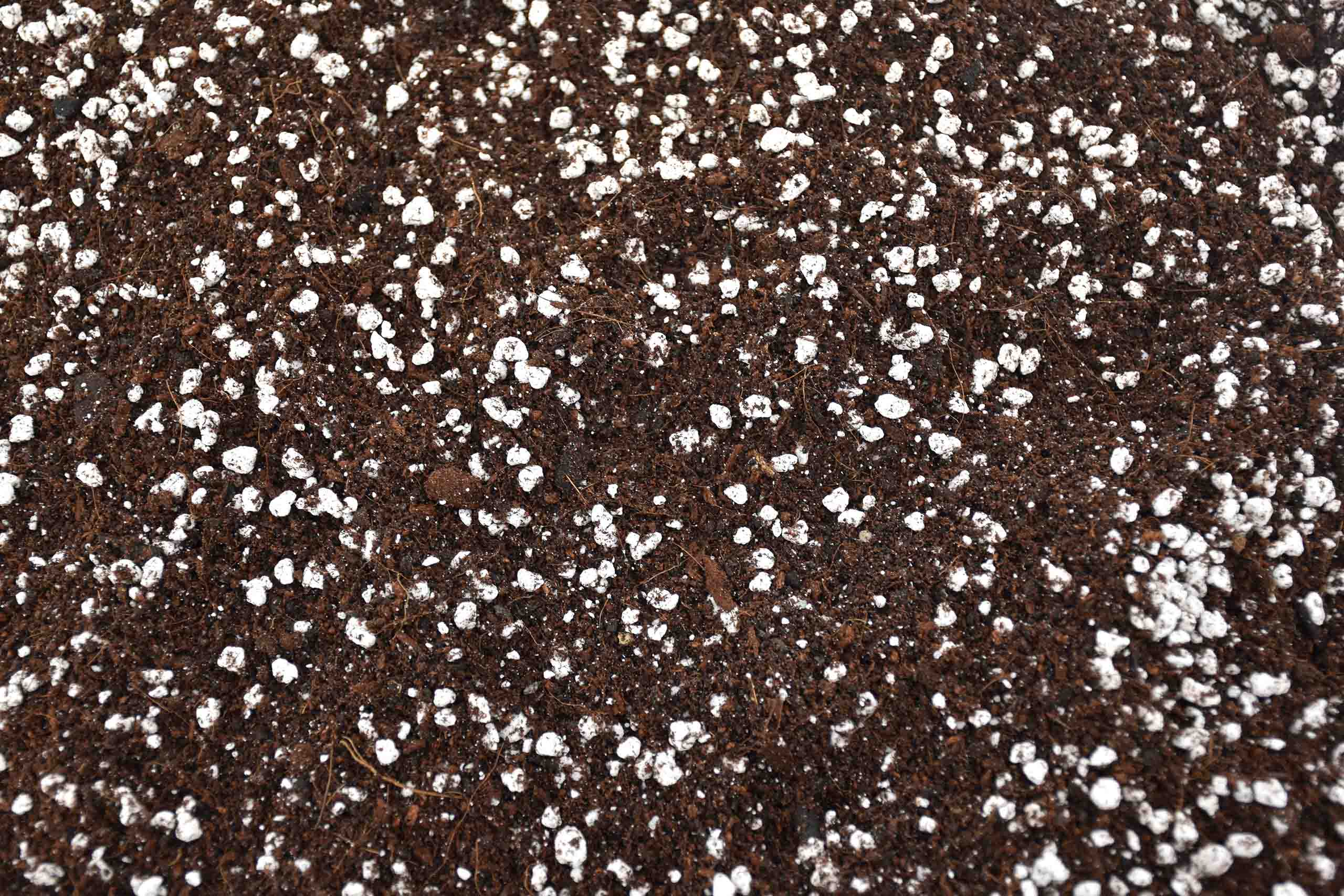 送無】GREAT MIX CULTURE SOIL【S】30L 1mm-6mm