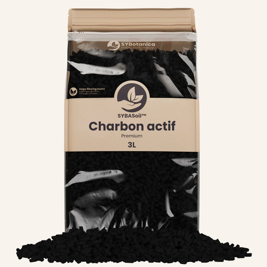 Charbon actif
