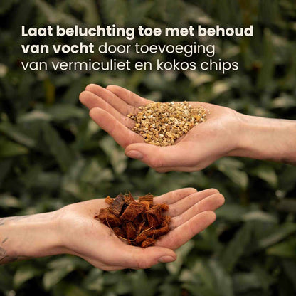 alocasia_productafbeelding_nl_ingredients