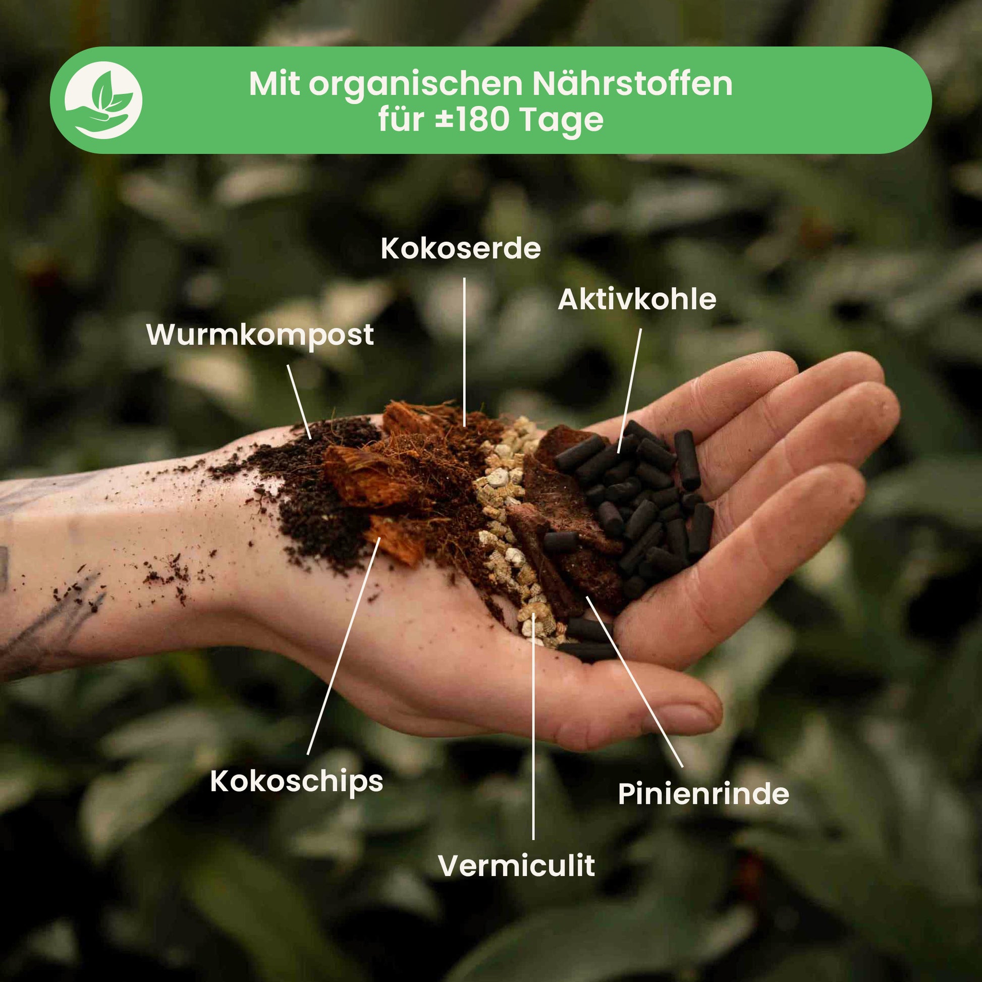 alocasiamix_ingredients_de