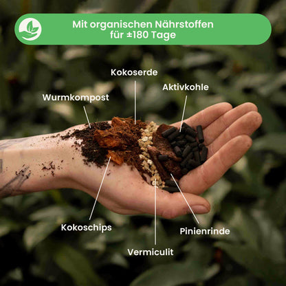 alocasiamix_ingredients_de