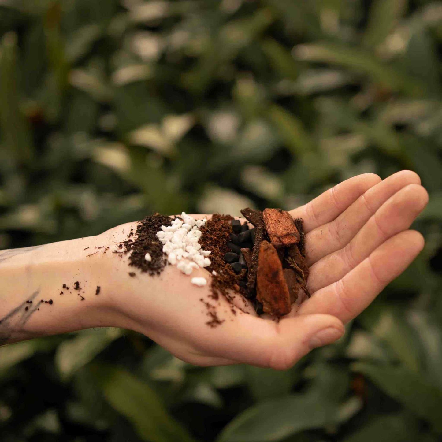 ly_anthurium_mix_ingredients_1749558877.jpeg