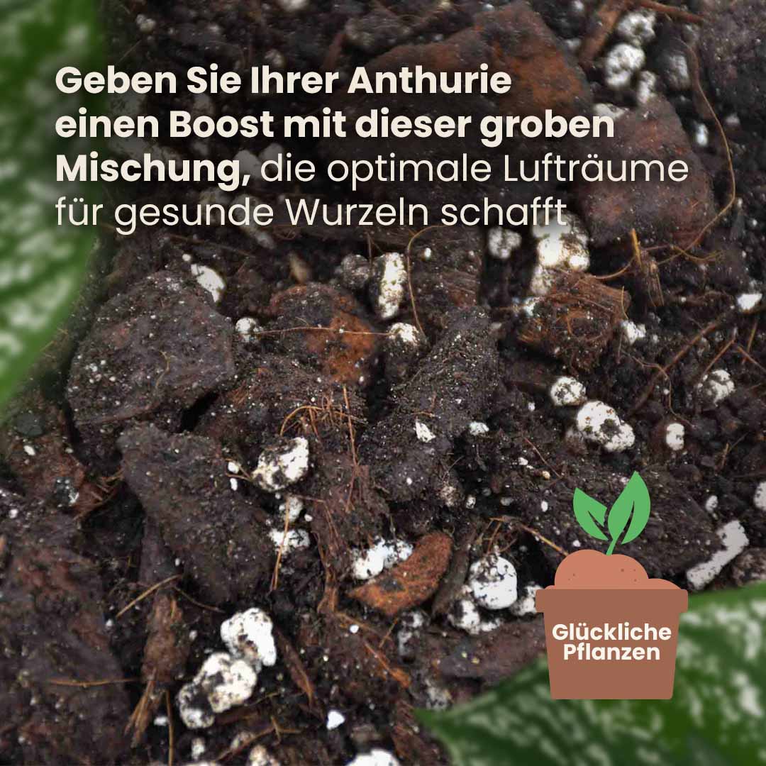anthurium erde Anthurium-Erde kaufen? ✓ Schnell versandt – Sybotanica