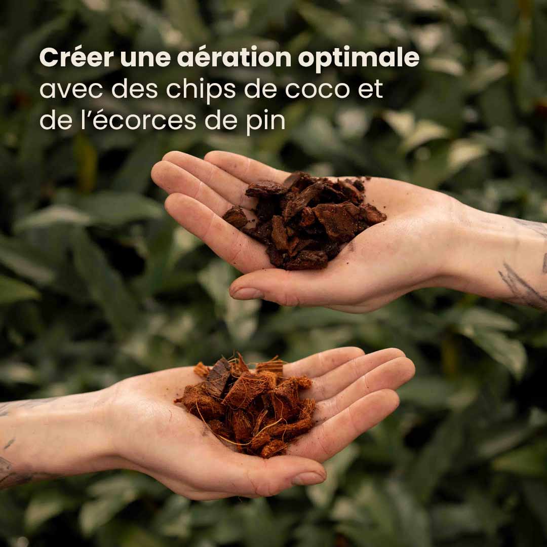 anthurium_productafbeelding_fr_ingredients