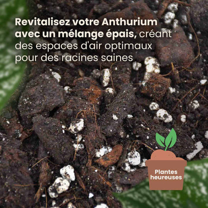 anthurium_productafbeelding_fr_structure