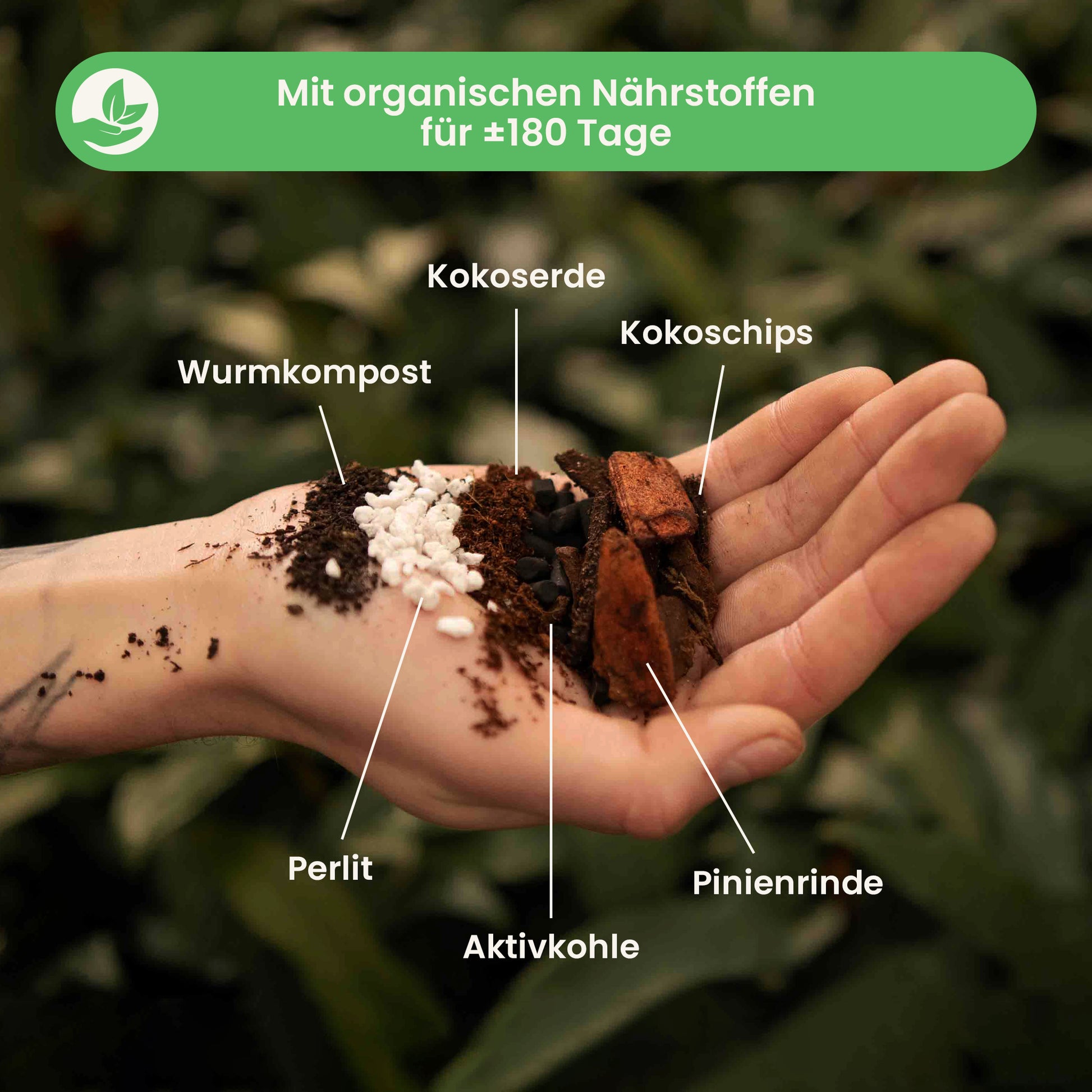 anthuriummix_ingredients_du