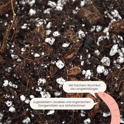 aroid_productafbeelding_du_fertiliser