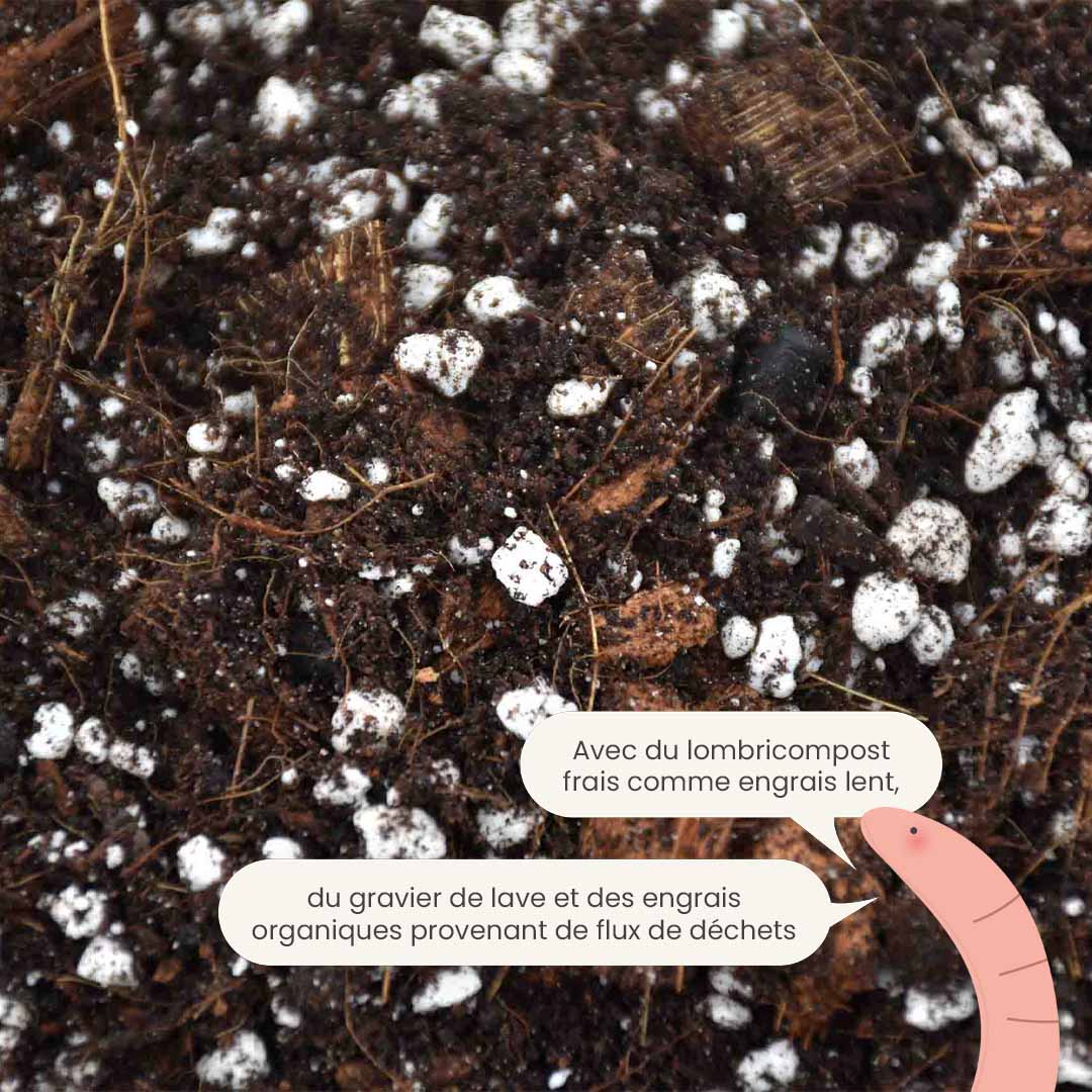 aroid_productafbeelding_fr_fertiliser