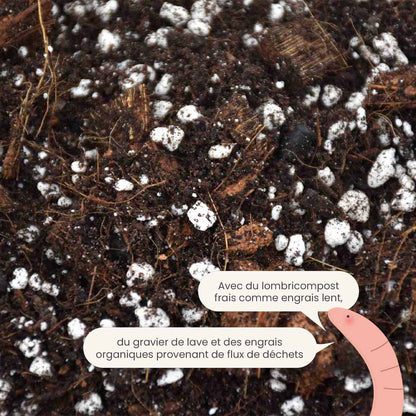 aroid_productafbeelding_fr_fertiliser