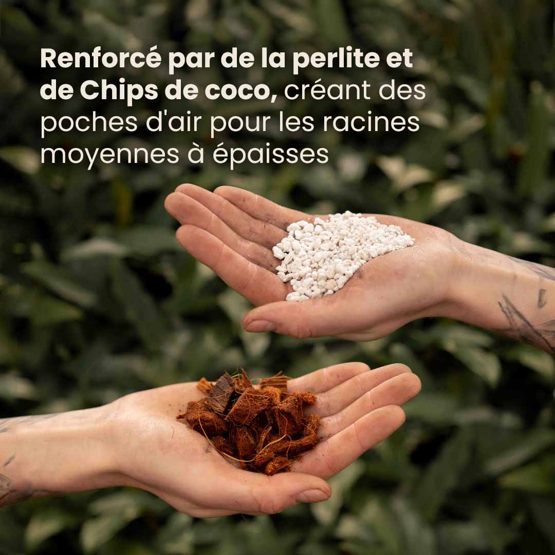 aroid_productafbeelding_fr_ingredients