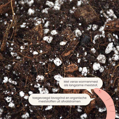 aroid_productafbeelding_nl_fertiliser