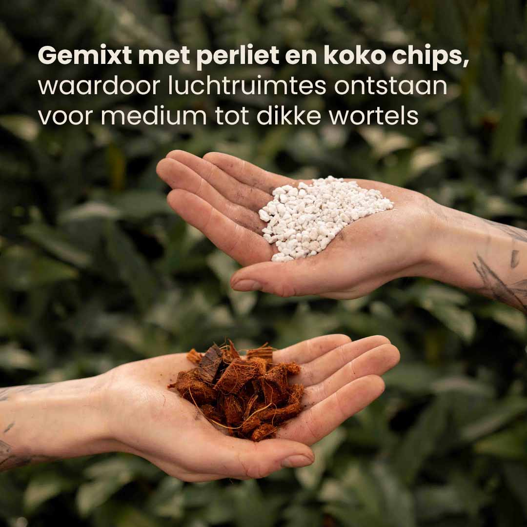 aroid_productafbeelding_nl_ingredients