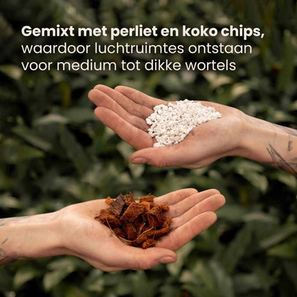aroid_productafbeelding_nl_ingredients