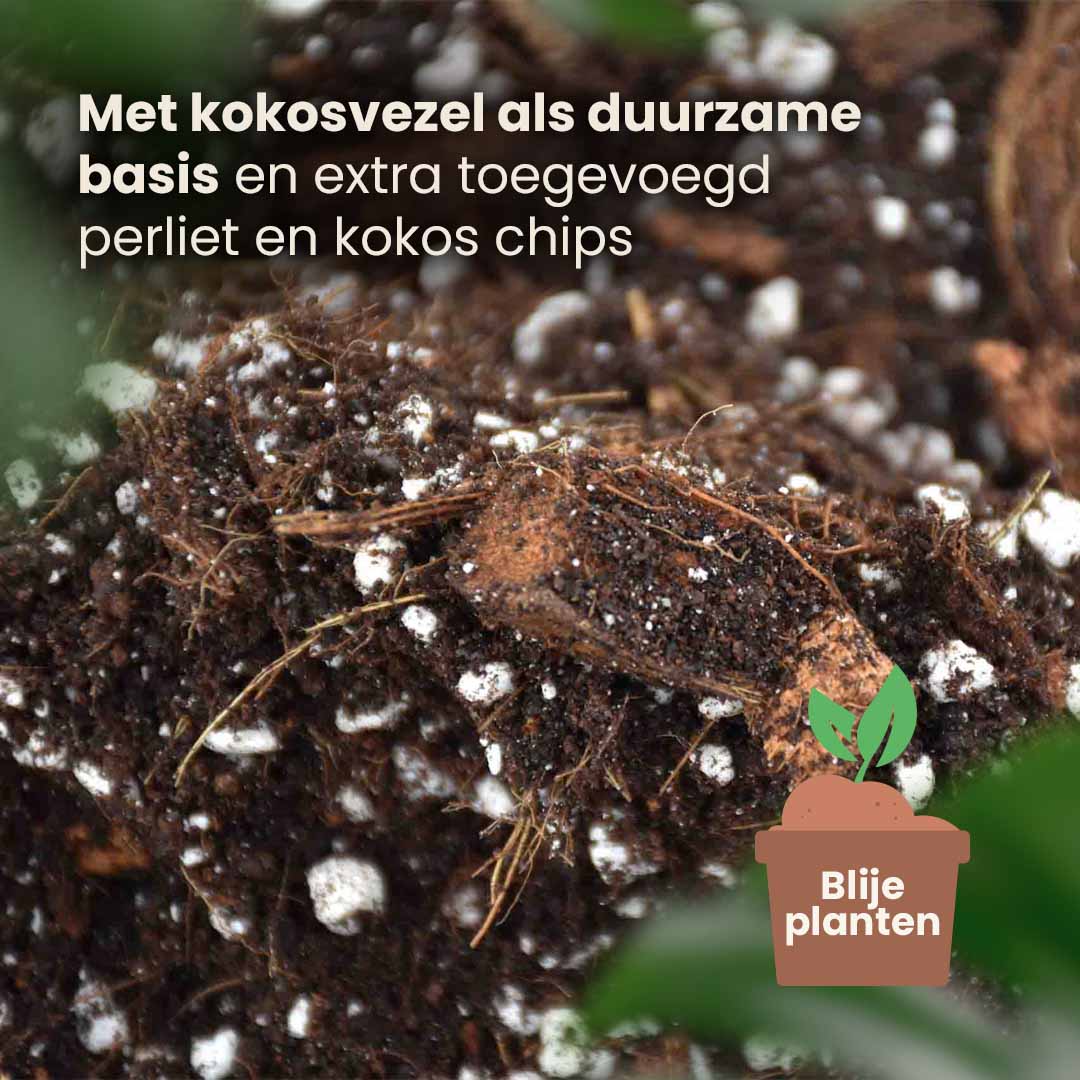 aroid_productafbeelding_nl_structure
