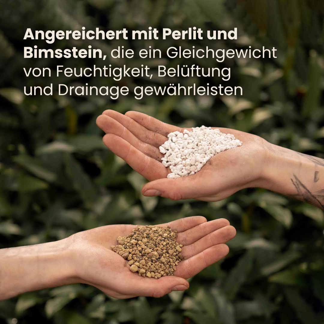 Bonsai-Erde kaufen? ✓ Schnell versandt – Sybotanica