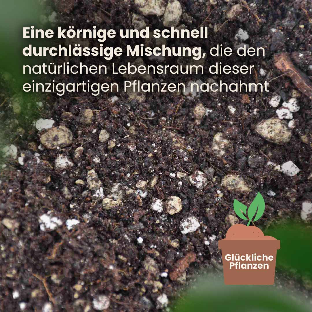 Bonsai-Erde kaufen? ✓ Schnell versandt – Sybotanica
