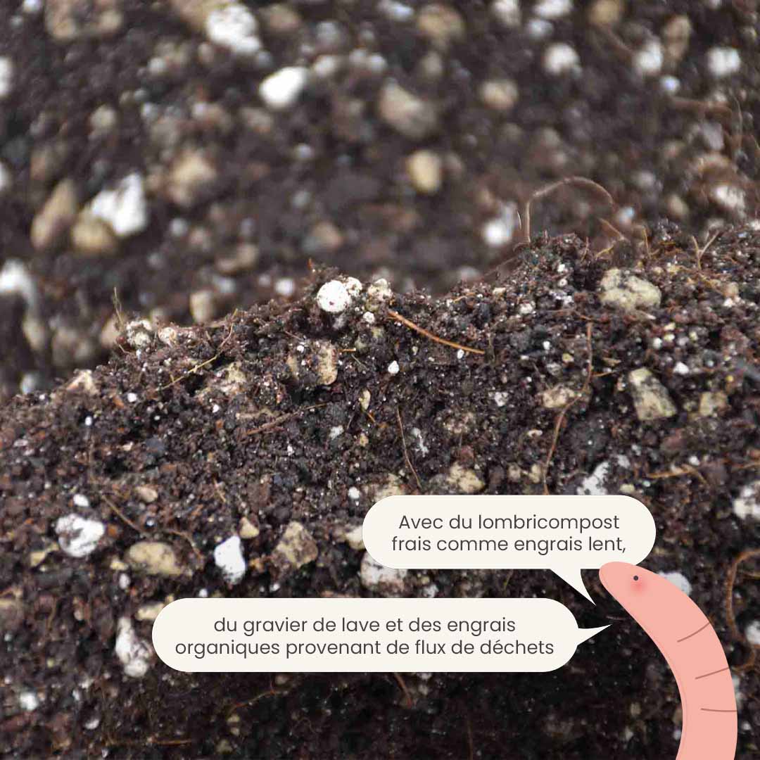 bonsai_productafbeelding_fr_fertiliser