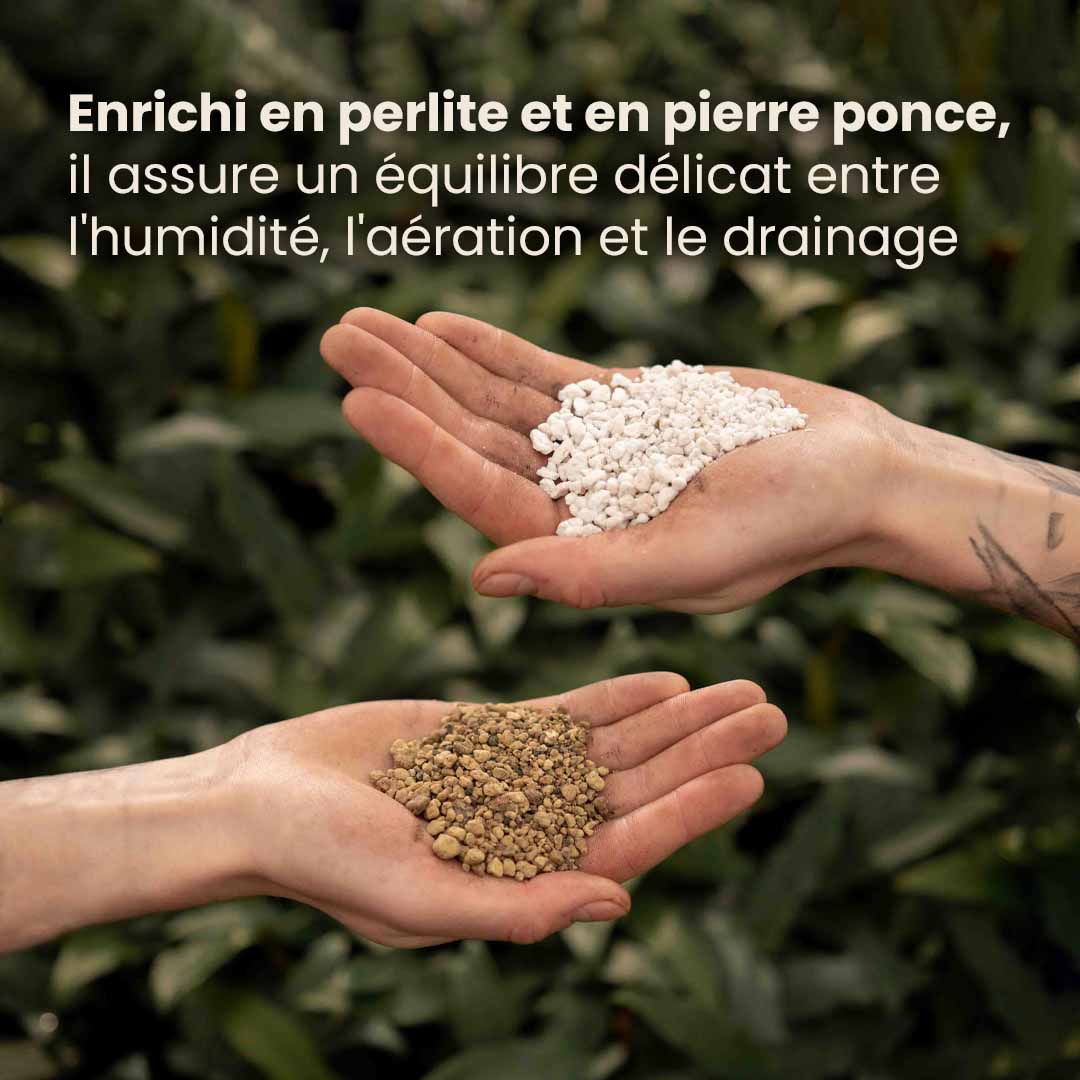 bonsai_productafbeelding_fr_ingredients