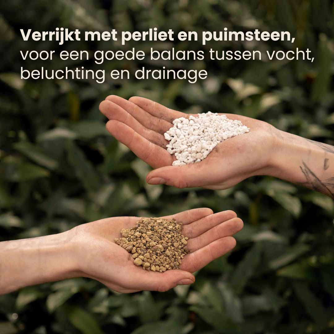 bonsai_productafbeelding_nl_ingredients