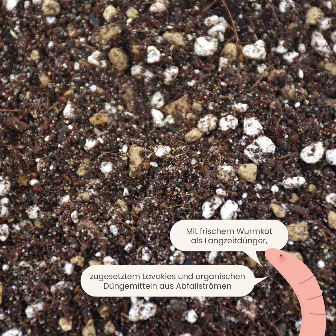 cacti&succulent_productafbeelding_du_fertiliser