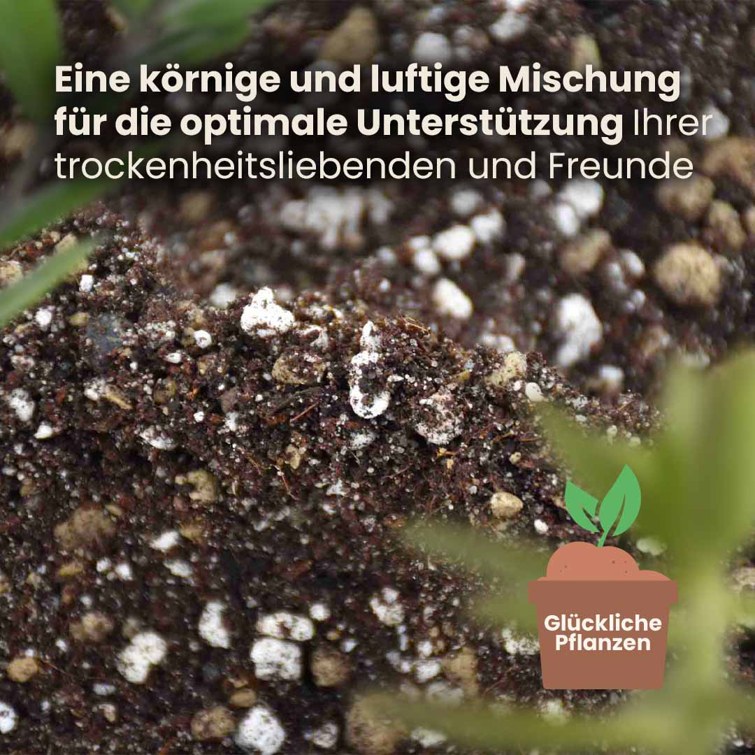 cacti&succulent_productafbeelding_du_structure