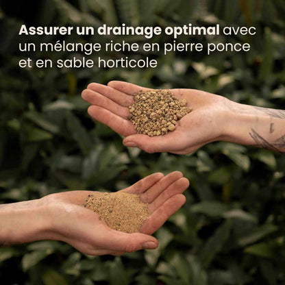 cacti&succulent_productafbeelding_fr_ingredients